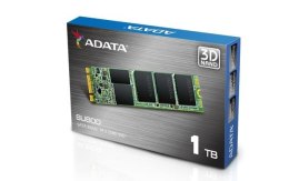 Dysk SSD ADATA Ultimate SU800 1TB M.2 (560/520 MB/s) 2280 3D TLC