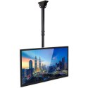 TECHLY UCHWYT SUFITOWY TV LED/LCD 32-55 CALI 50KG