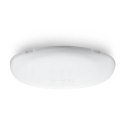 Access Point ZyXEL WAC6303D-S-EU0101F