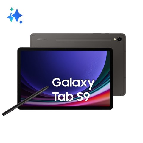 Samsung Galaxy Tab S9 11.0 (X710) 12/256GB Graphite