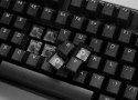 Klawiatura gamingowa Ducky One 3 Aura Black TKL, RGB LED - MX-Silent-Red (US)