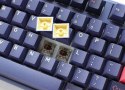 Ducky One 3 klawiatura Gaming USB Niebieski