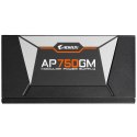 Gigabyte GP-AP750GM moduł zasilaczy 750 W 20+4 pin ATX ATX Czarny