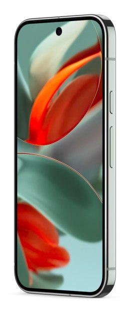 Google Pixel 9 Pro 16 cm (6.3