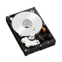 Dysk HDD WD Black WD2003FZEX (2 TB ; 3.5"; 64 MB; 7200 obr/min)