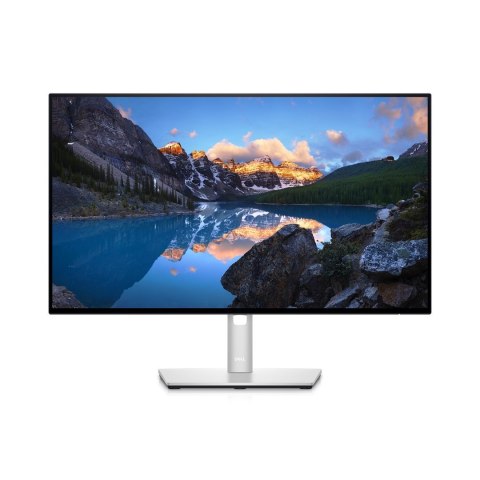 MONITOR DELL LED 23,8" U2422HE