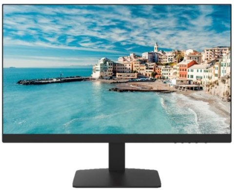 Monitor HikVision DS-D5022FN-C