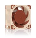 Noctua NF-A4x20 FLX Obudowa komputera Wentylator 4 cm Beżowy, Brązowy