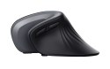 Mysz TRUST Verro Ergonomic Wireless Mouse