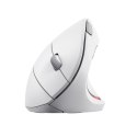 Mysz TRUST Verto Wireless vertical ergonomic White